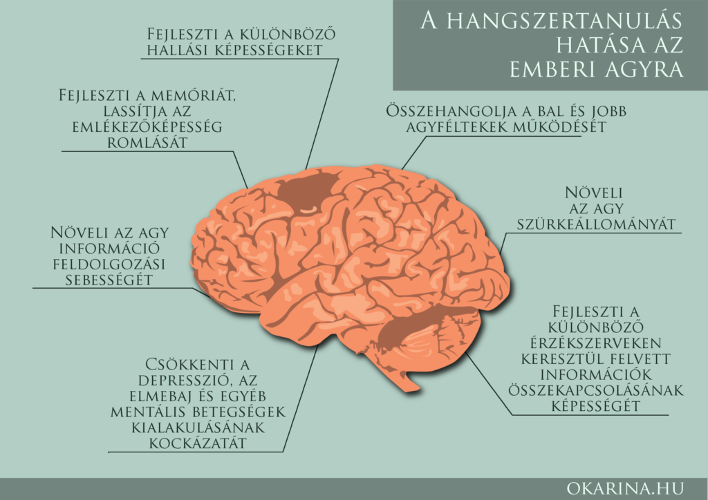 Hangszertanuélás hatása az emberi agyra